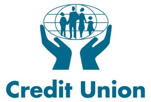 Credit Union Success